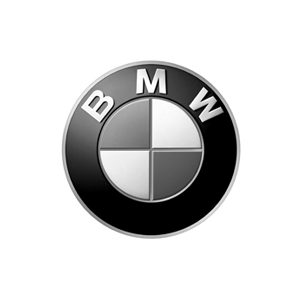 bmw Wedding car rental 